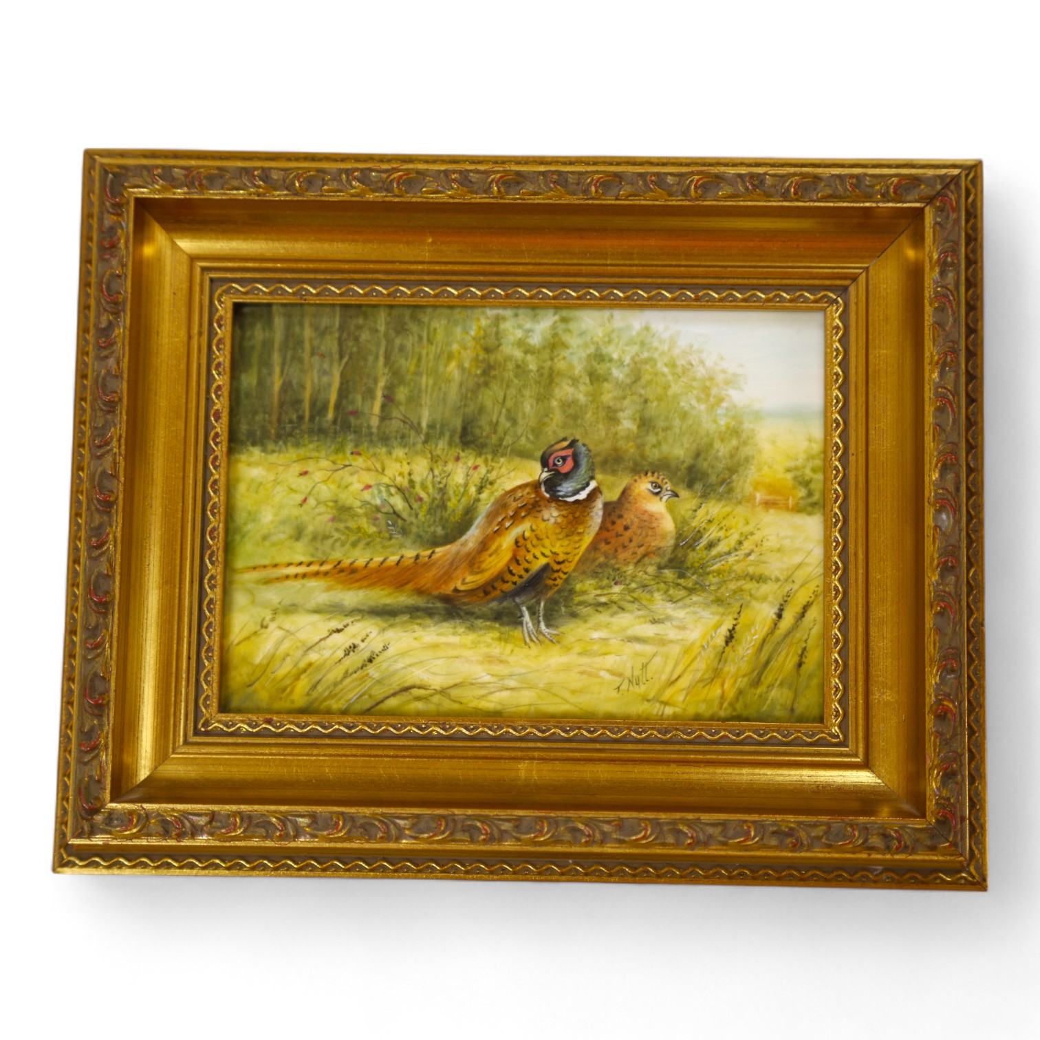 A Royal Worcester framed porcelain plaque decorated with game birds, signed T. Nutt (Terry Nutt), 12 x 17cm. Condition - good